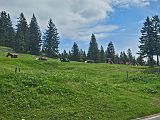 Rossfeld (160)